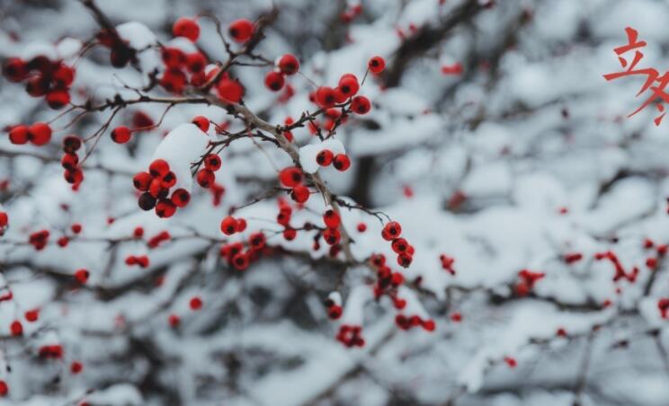 寒冬的句子文案短句唯美