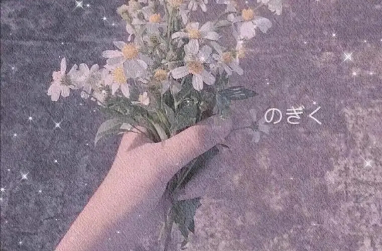 qq说说文案配图