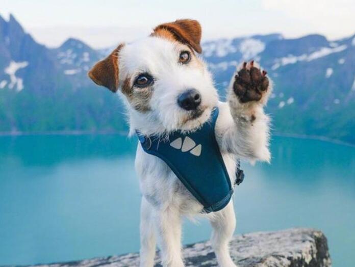 关于简单率真的句子文案