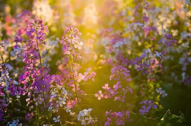 几年变化感慨的句子文案