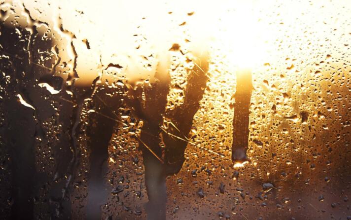 现实又扎心的句子文案带图