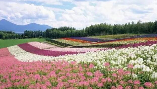 笑话人不如人经典语句文案