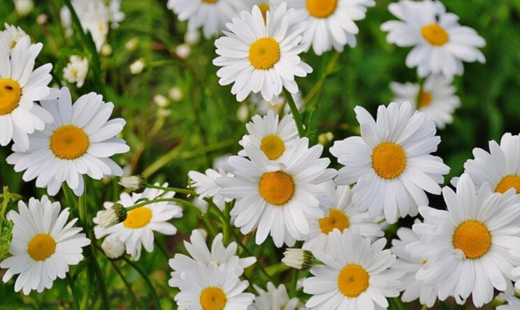 不计较的经典句子文案