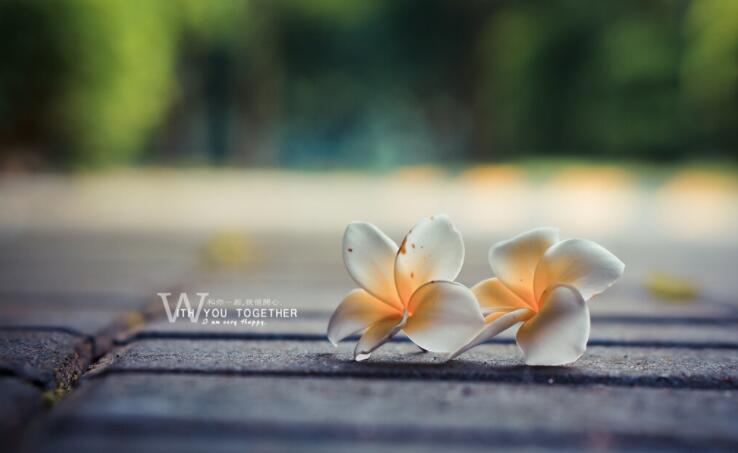 个性签名简短高冷