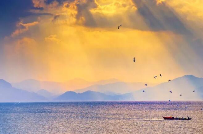 积极向上的唯美诗句文案