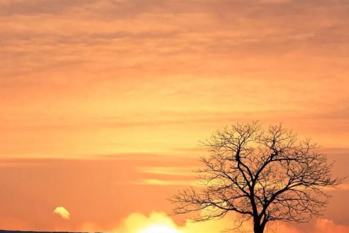 描写中国的唯美句子文案