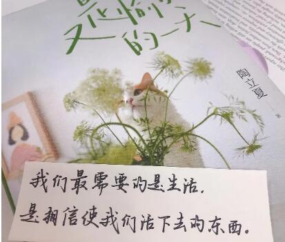 愉快的一天唯美句子文案