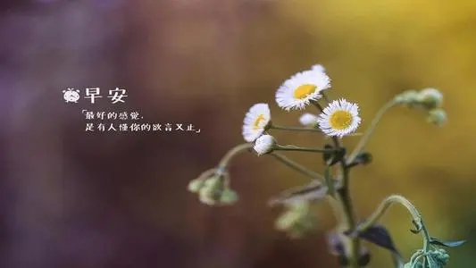 正能量问候语及关心话