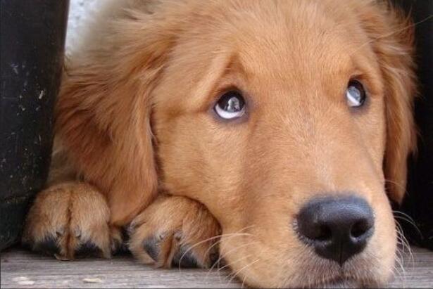 烦恼郁闷的句子文案说说心情