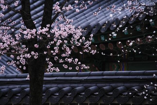 千古绝句最伤感的诗词