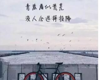 出去玩的心情句子文案