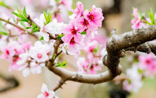 值班经典句子文案