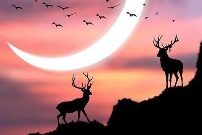 生活正能量的微信说说文案