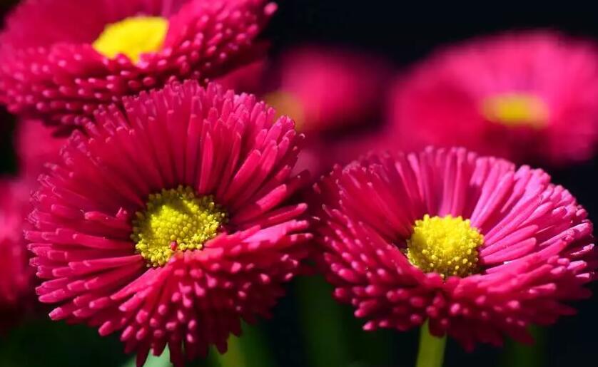 想念爱人的早安问候语