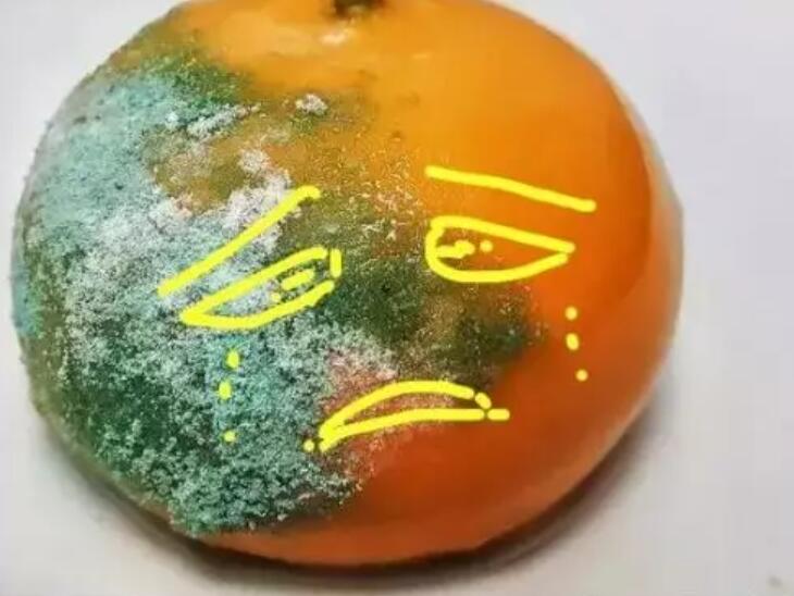 宅在家里发霉说说句子文案