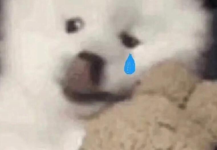 遇到装b的人给力回复