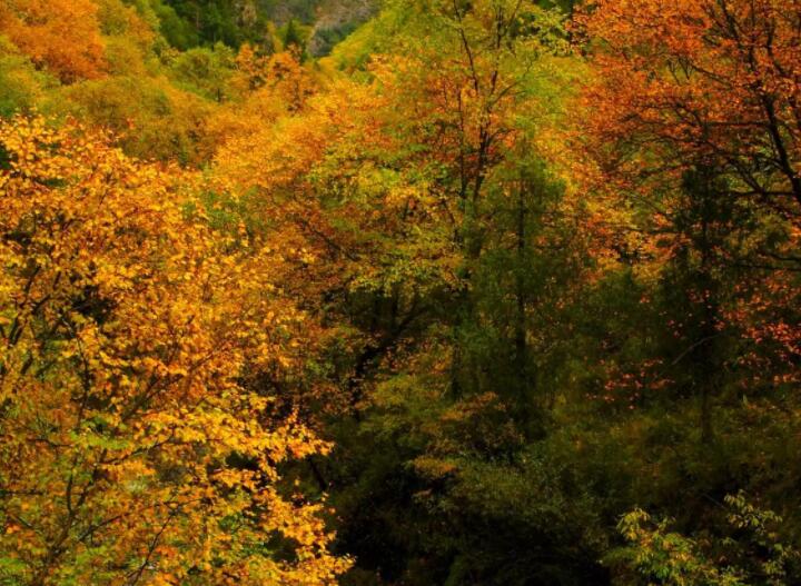 一年又一年唯美句子文案