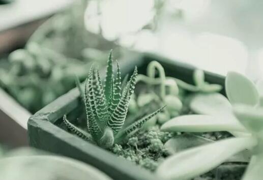 微信个性签名伤感短语