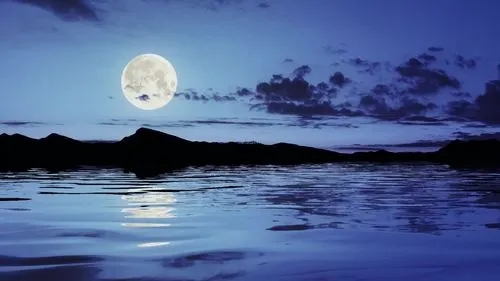 描写月光的优美段落