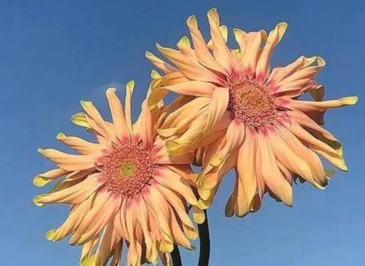 励志的个性签名适合女