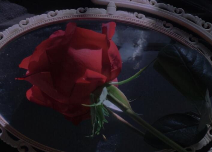 文案句子文案温柔干净伤感