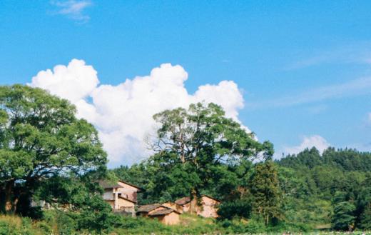 热爱大自然的名言短句