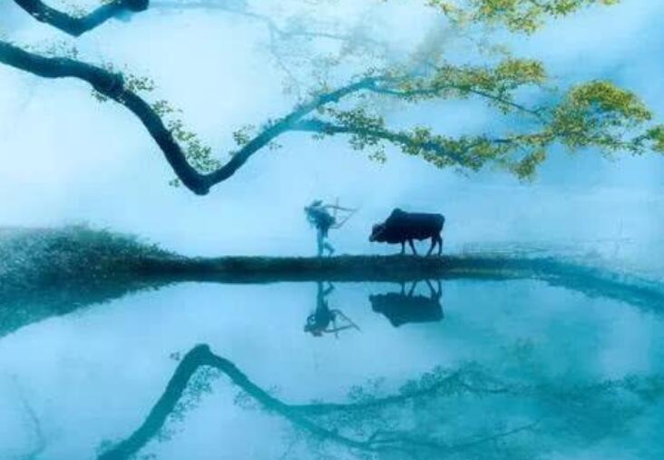 中国传统文化句子文案10个字