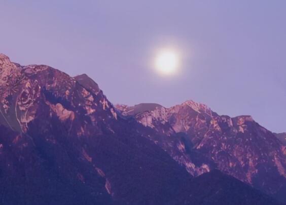 女人该有的生活态度句子文案