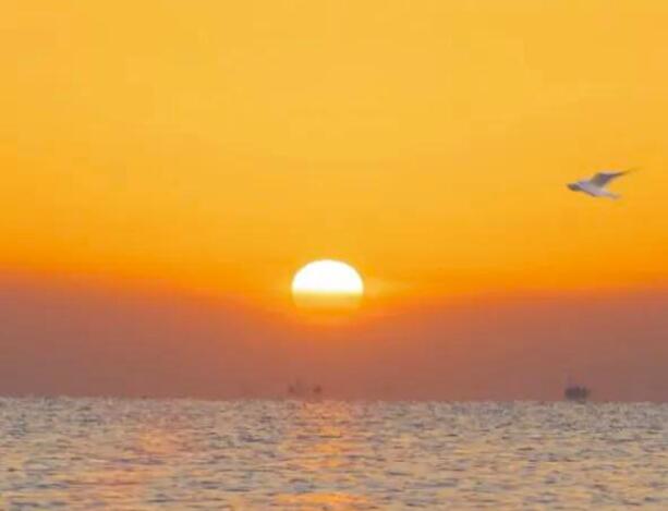 初升的太阳唯美句子文案