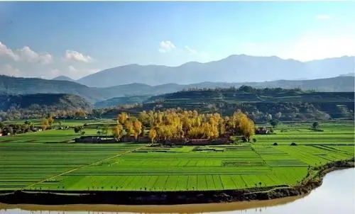 描写乡村的句子文案四年级