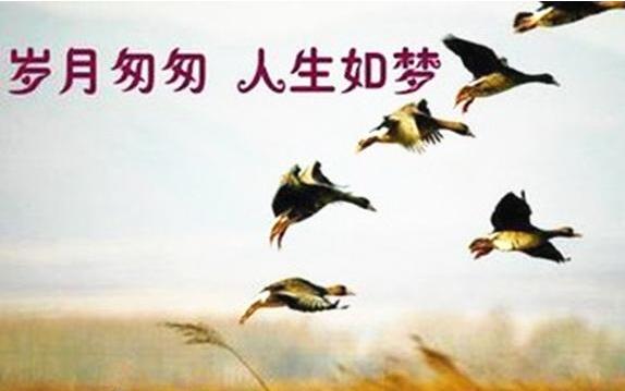 男人不老的幽默句子文案