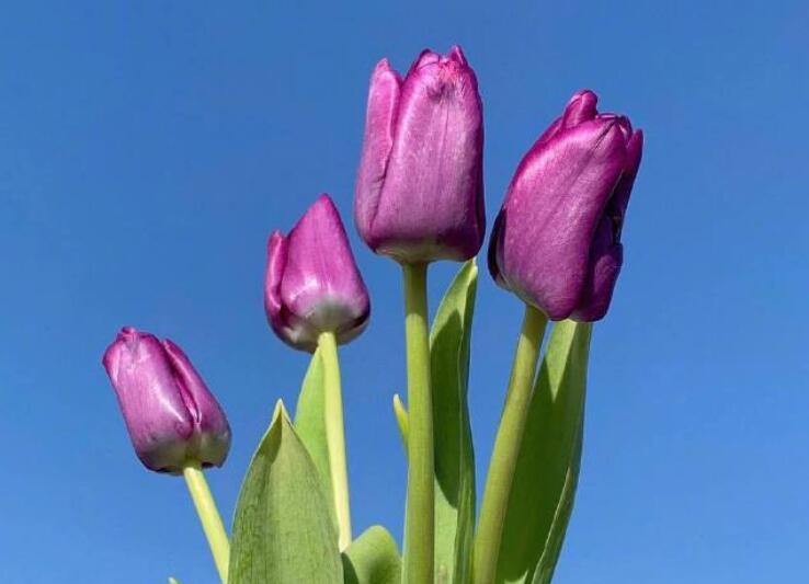 给自己早安的一句话