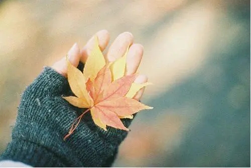 感悟生活的心情说说文案