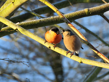 关于不想再爱的句子文案