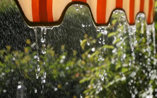 夏雨写一段句子文案一年级