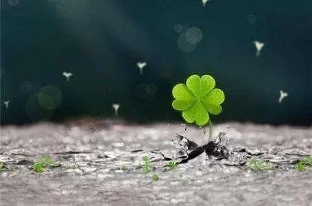 描写无奈的段落