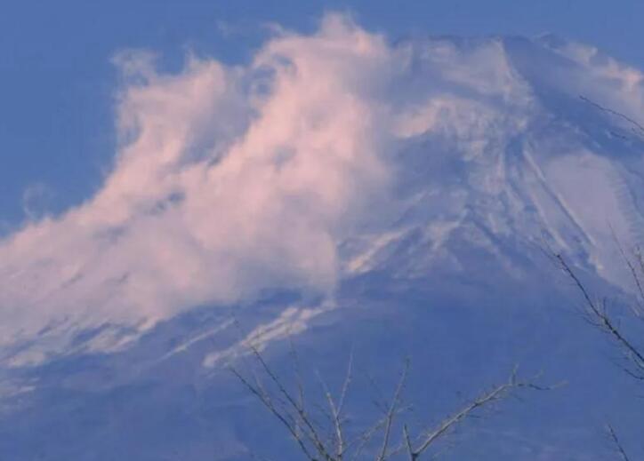 环境美好的句子文案