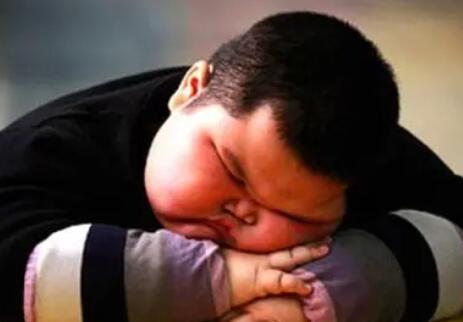 胖子的幽默句子文案