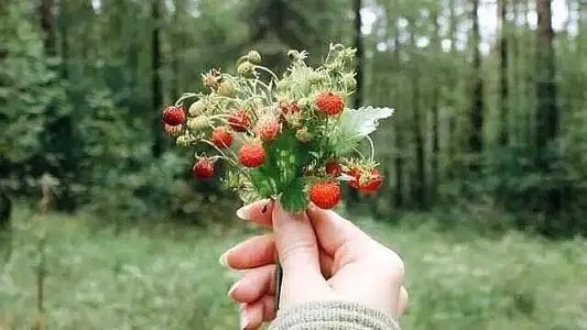 感恩的朋友圈怎么发