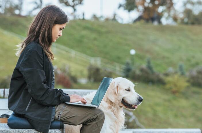赞美一个人有文采句子文案