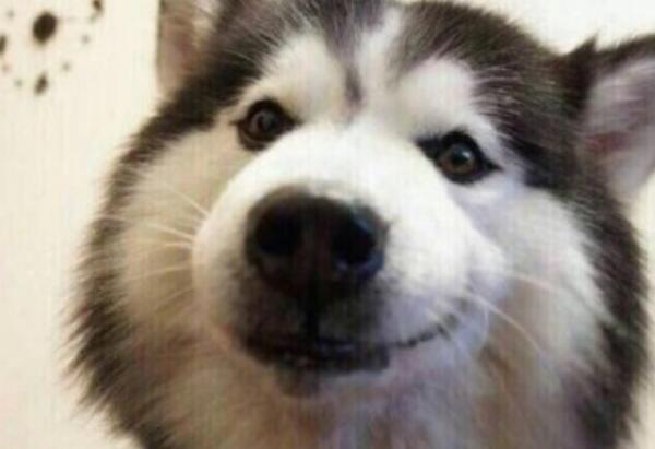 高情商回怼别人的句子文案