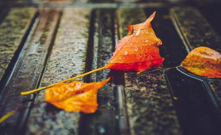 适合下雨天发的诗句文案
