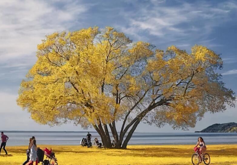 关于有人生道理的句子文案