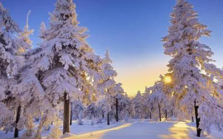 赞美冬天的优美句子文案