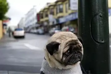 自嘲年龄大了的朋友圈