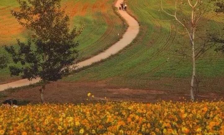 早上刚起来的好句子文案