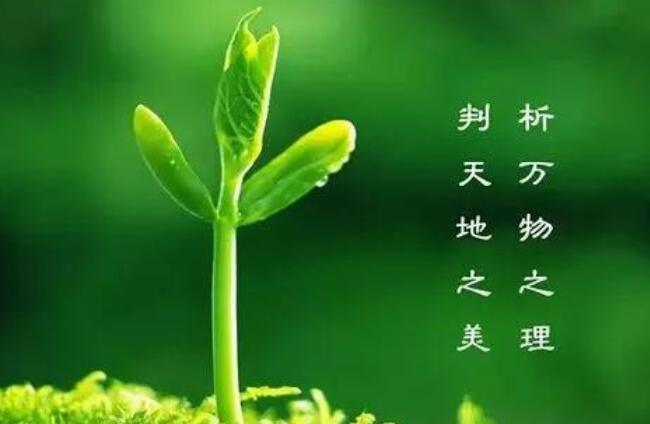 描写植树节的诗歌