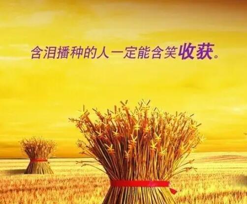 播种与收获励志语录文案