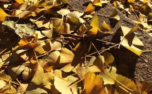 女友心情低落安慰的话