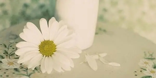 温暖文艺简短的祝福语